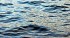 jezero.jpeg