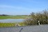 dsc_6698.jpg
