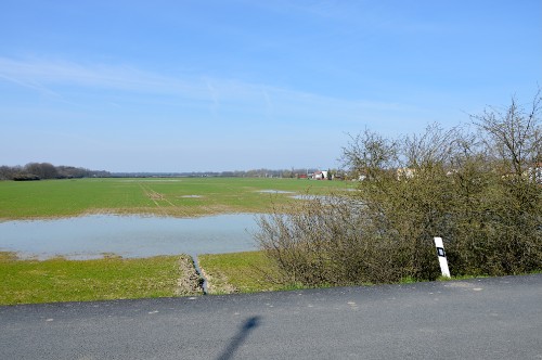 dsc_6698.jpg