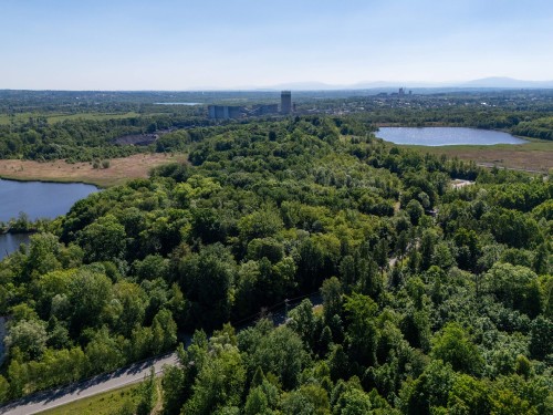 dji_20260526101315_0863_d.jpg