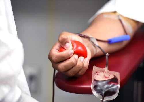 michellegordon2-blood-donation-5427229.jpg