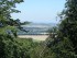 dsc08549.jpg